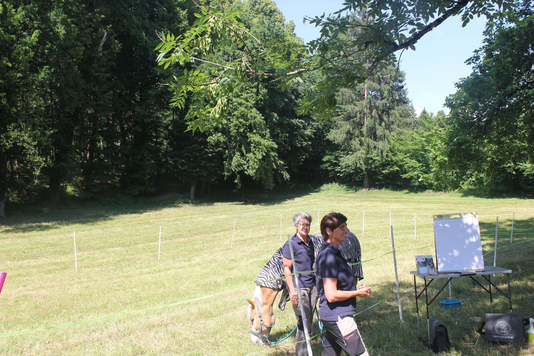 © LK Kärnten/Gerhard Frießnegger/Friederike Parz